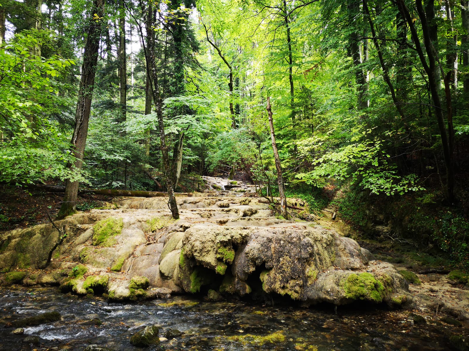 Cascada Beusnitei