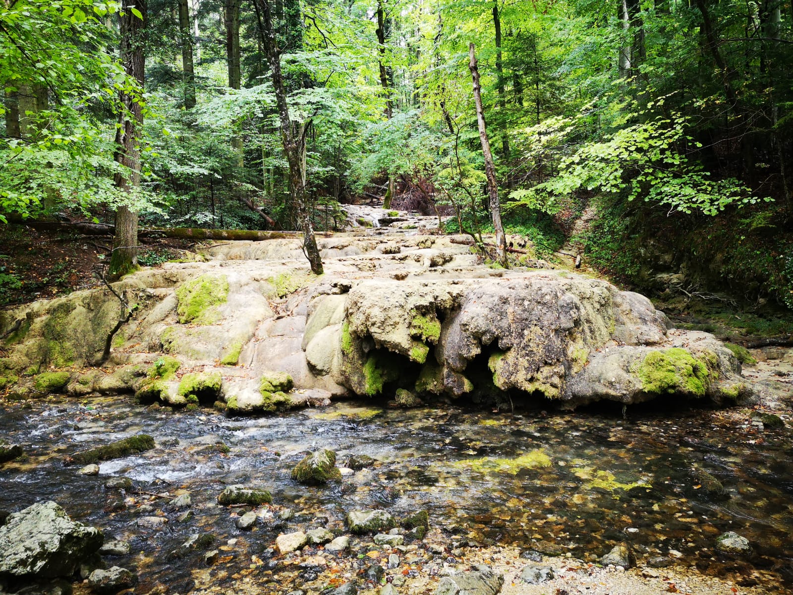 Cascada Beusnitei